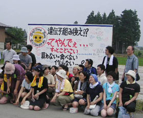 GMO�t���[�]�[���̊Ŕݒu�i2005�N�E�R�`���V���j